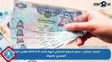 تحديث مباشر.. سعر الدرهم الإماراتي اليوم الأحد 31-8-2025 مقابل الجنيه المصري بالبنوك